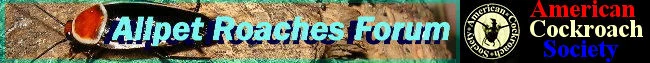 Allpet Roaches Forum