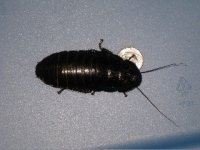 IMG_7429.jpg