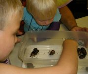 roachpettingzoo.jpg