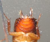 IMG_2828.JPG