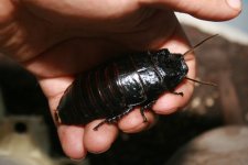 22.07.2010_013.jpg