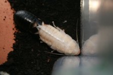 22.07.2010_003.jpg