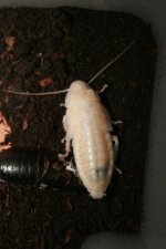 22.07.2010_011.jpg