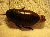 DSC03850.jpg