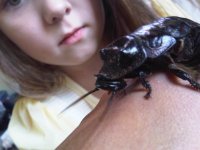 IMG02245-20110623-1514.jpg