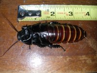 DSCN1510.JPG