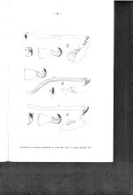 geni (Copier).jpg