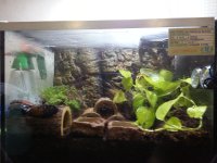 new tank arrangement.jpg