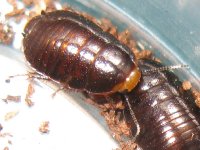IMG_7543crop_1.jpg