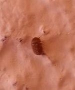 10602923_515463748584260_272817129_n.jpg