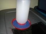 chick waterers 2.jpg
