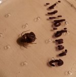 20160210_004300.jpg