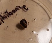 20160210_004311.jpg