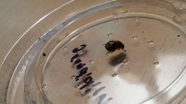 20160210_004313.jpg