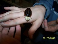 100_1501.JPG