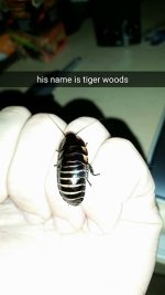 Snapchat-6009910218655764430.jpg