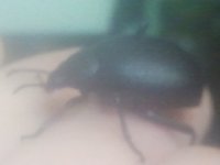 2016-08-01 07.07.30.jpg