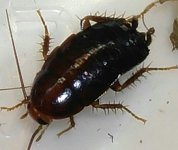 1225161824a-1-1.jpg