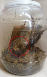 2017-03-14 11.41.28.jpg