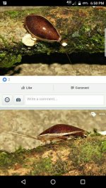 Screenshot_20170519-185838.jpg