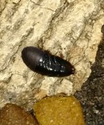 IMG_20170529_000405.jpg