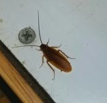 20170529_201409.jpg 20170529_201409.jpg