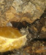 IMG_20170529_213812.jpg
