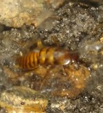 IMG_20170601_000133.jpg