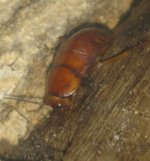 IMG_20170602_232542.jpg
