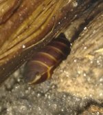 IMG_20170609_154352.jpg