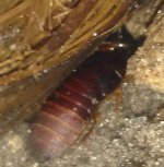 IMG_20170609_154320.jpg