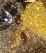 IMG_20170624_011314.jpg