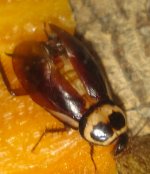 IMG_20170627_003902.jpg