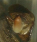 IMG_20170628_001549.jpg