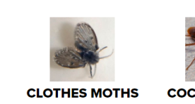 um 2.PNG