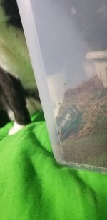 20180203_025709_resized.jpg