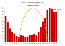 therea_bernhardti_nymphs.png therea_bernhardti_nymphs.png