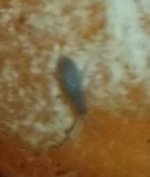 20180526_232100.jpg 20180526_232100.jpg