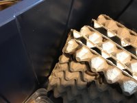 C9009399-9144-428D-AD1D-006B0890179B.jpeg
