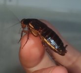 20200828_090735.jpg