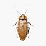work-58751519-sticker.jpg