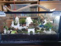 tranquilfairygarden1.jpg tranquilfairygarden1.jpg