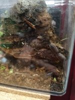 20201227_114348.jpg