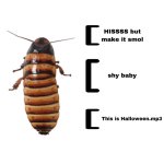 EE24D113-E6F0-4CF4-A825-DF54D8D0FC41.jpeg