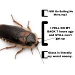 77B00A3D-2550-43AE-83A7-6D8C15B42FDA.jpeg