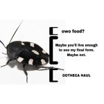 97BF444F-002D-4313-B779-42D8F8ADCD5C.jpeg