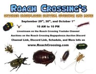 Roach_Crossing_October_2023_Bugapalooza.png.jpg