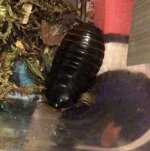 IMG_7763.jpeg IMG_7763.jpeg