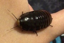 IMG_7765.jpeg IMG_7765.jpeg