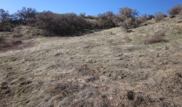 TabletopMountainFoothills#3.JPG